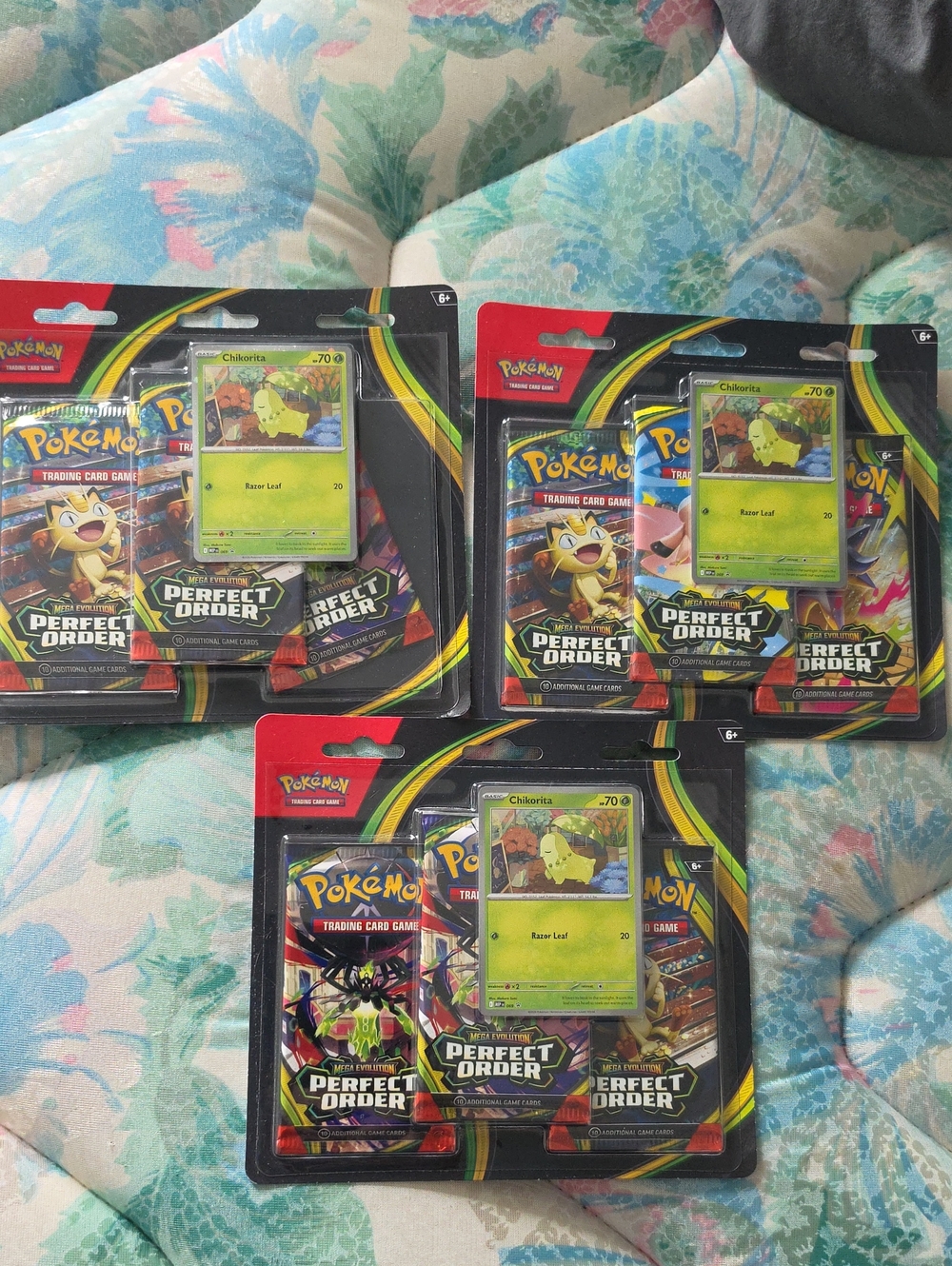 Pokemon Perfect Order Blister Packs with Bright Green Chikorita Promo Card